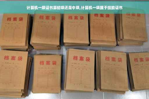 计算机一级证书算初级还是中级,计算机一级属于技能证书