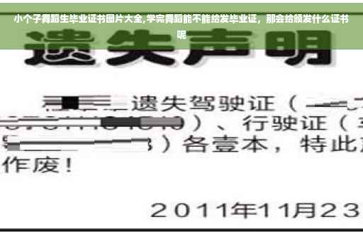 小个子舞蹈生毕业证书图片大全,学完舞蹈能不能给发毕业证,那会给颁发什么证书呢 小个子舞蹈生毕业证书图片大全,学完舞蹈能不能给发毕业证,那会给颁发什么证书呢