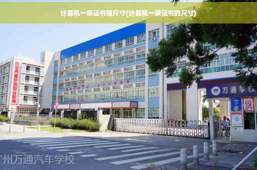 计算机一级证书哦尺寸(计算机一级证书的尺寸)
