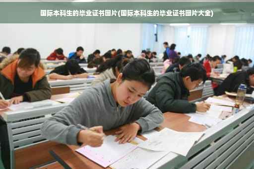 国际本科生的毕业证书图片(国际本科生的毕业证书图片大全)
