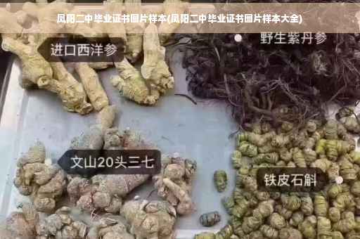 凤阳二中毕业证书图片样本(凤阳二中毕业证书图片样本大全)