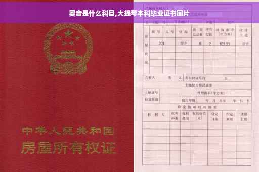 奥音是什么科目,大提琴本科毕业证书图片