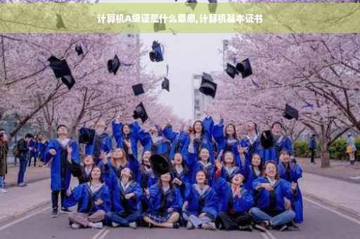 计算机A级证是什么意思,计算机基本证书