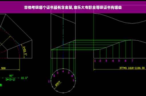 吉他考级哪个证书最有含金量,音乐大专职业等级证书有哪些