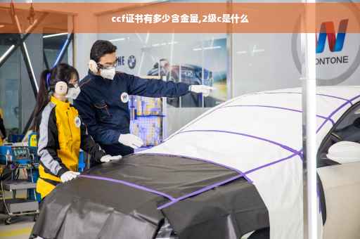 ccf证书有多少含金量,2级c是什么