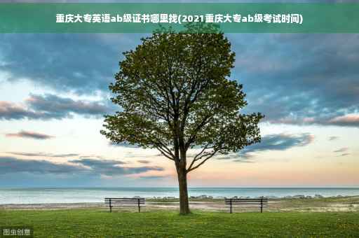 重庆大专英语ab级证书哪里找(2021重庆大专ab级考试时间)
