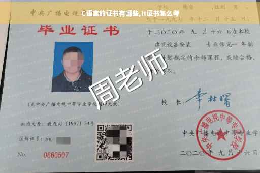 C语言的证书有哪些,it证书怎么考