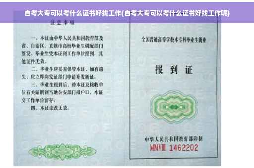自考大专可以考什么证书好找工作(自考大专可以考什么证书好找工作呢)