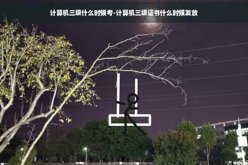 计算机三级什么时候考-计算机三级证书什么时候发放