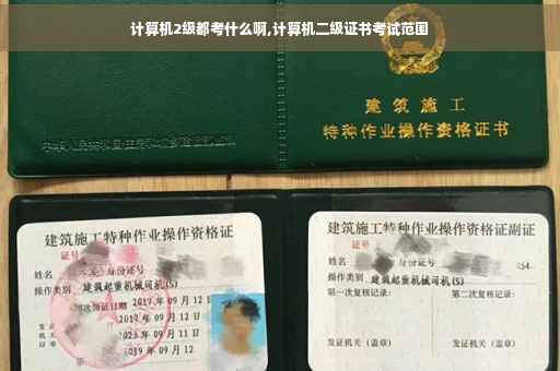 计算机2级都考什么啊,计算机二级证书考试范围