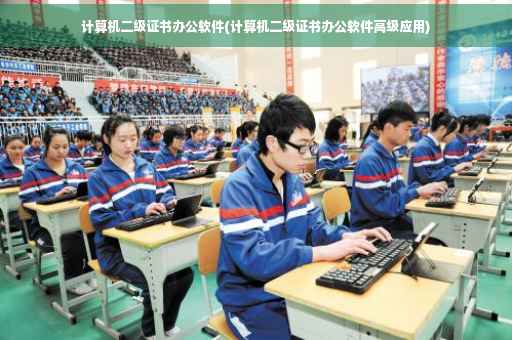计算机二级证书办公软件(计算机二级证书办公软件高级应用)