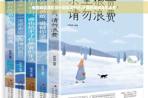 有哪些渠道取得计算机证书的,计算机等级证怎么考