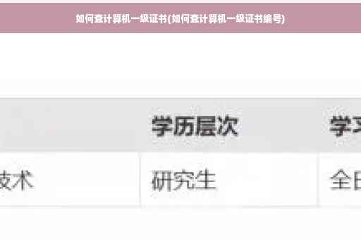 如何查计算机一级证书(如何查计算机一级证书编号)