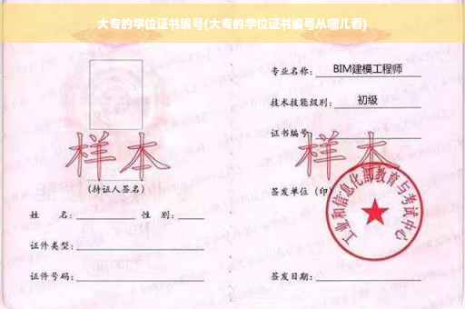 大专的学位证书编号(大专的学位证书编号从哪儿看)