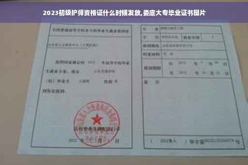2023初级护师资格证什么时候发放,娄底大专毕业证书图片