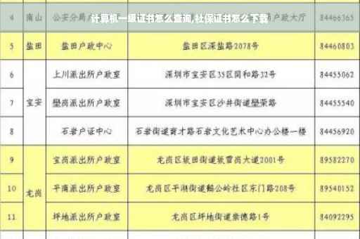 计算机一级证书怎么查询,社保证书怎么下载