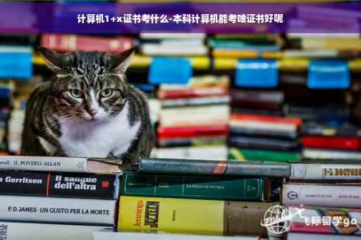 计算机1+x证书考什么-本科计算机能考啥证书好呢