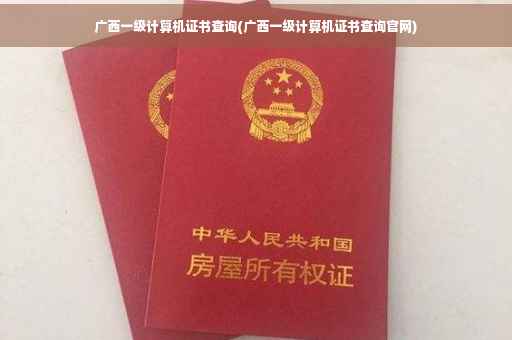 广西一级计算机证书查询(广西一级计算机证书查询官网)