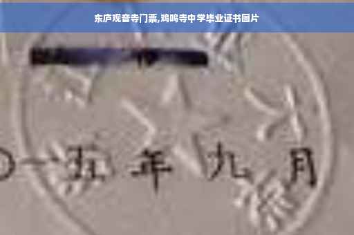 东庐观音寺门票,鸡鸣寺中学毕业证书图片