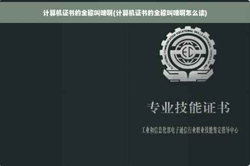 计算机证书的全称叫啥啊(计算机证书的全称叫啥啊怎么读)