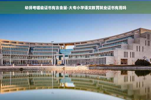 幼师考哪些证书有含金量-大专小学语文教育就业证书有用吗