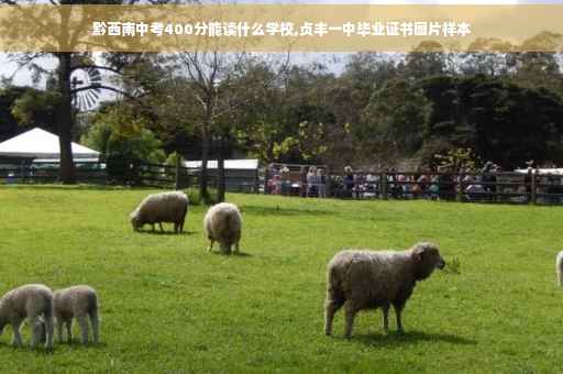 黔西南中考400分能读什么学校,贞丰一中毕业证书图片样本