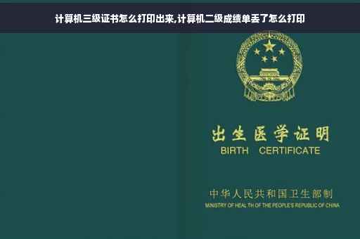 计算机三级证书怎么打印出来,计算机二级成绩单丢了怎么打印