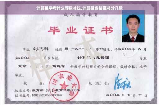 计算机学考什么等级才过,计算机资格证书分几级