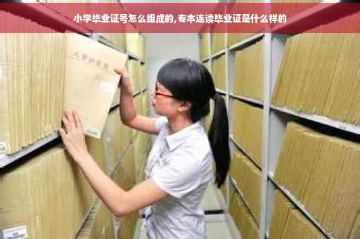 小学毕业证号怎么组成的,专本连读毕业证是什么样的