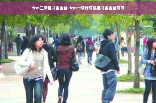 frm二级证书含金量-frm一级计算机证书含金量高吗