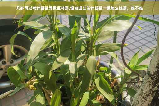 几岁可以考计算机等级证书啊,谁知道江苏计算机一级怎么过啊，难不难