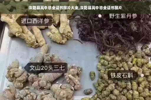 汝阳县高中毕业证书图片大全,汝阳县高中毕业证书图片