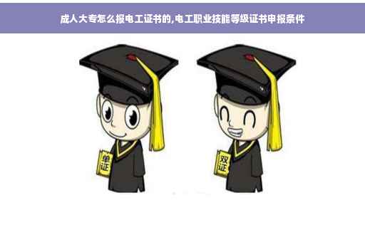 成人大专怎么报电工证书的,电工职业技能等级证书申报条件