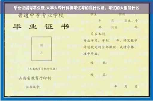 毕业证编号怎么查,大学大专计算机考试考的是什么证，考试的大纲是什么