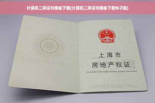 计算机二级证书模板下载(计算机二级证书模板下载电子版)