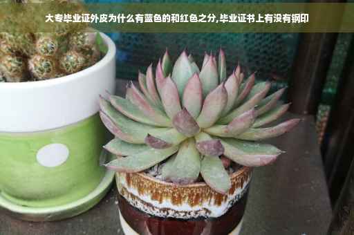 大专毕业证外皮为什么有蓝色的和红色之分,毕业证书上有没有钢印