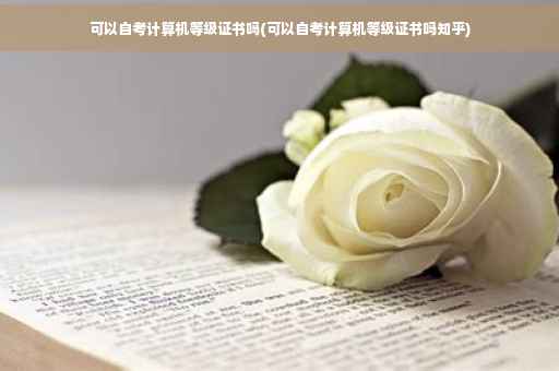 可以自考计算机等级证书吗(可以自考计算机等级证书吗知乎)