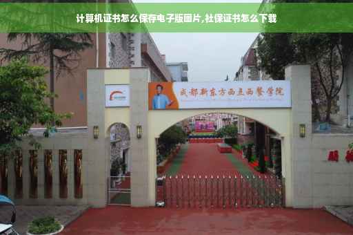 计算机证书怎么保存电子版图片,社保证书怎么下载