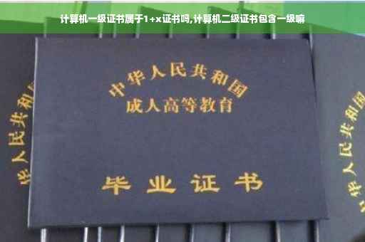 计算机一级证书属于1+x证书吗,计算机二级证书包含一级嘛
