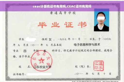 ceac计算机证书有用吗,CEAC证书有用吗