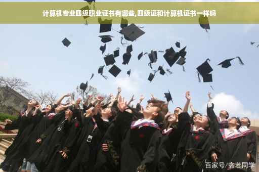 计算机专业四级职业证书有哪些,四级证和计算机证书一样吗