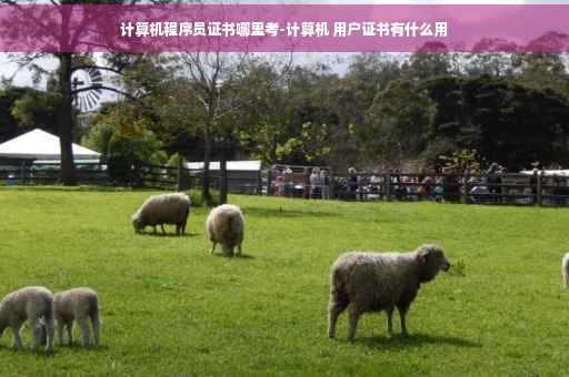 计算机程序员证书哪里考-计算机 用户证书有什么用