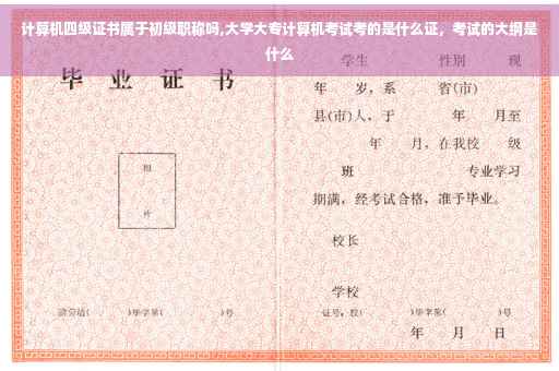 计算机四级证书属于初级职称吗,大学大专计算机考试考的是什么证，考试的大纲是什么
