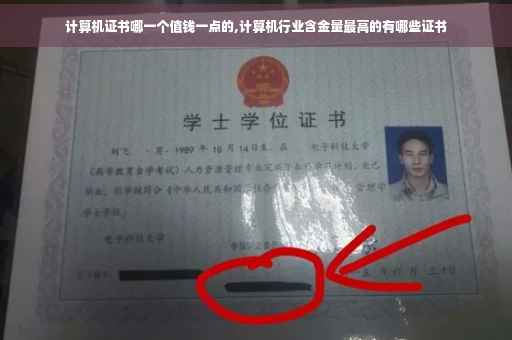 计算机证书哪一个值钱一点的,计算机行业含金量最高的有哪些证书