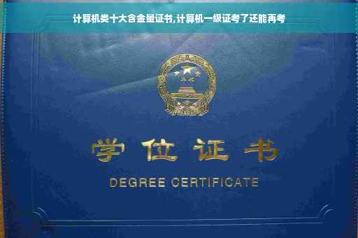 计算机类十大含金量证书,计算机一级证考了还能再考
