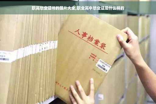 职高毕业证书的图片大全,职业高中毕业证是什么样的