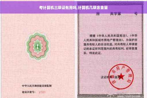 考计算机三级证有用吗,计算机几级含金量