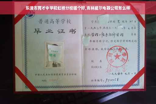 乐清市育才中学和虹桥分校哪个好,克林威尔电器公司怎么样
