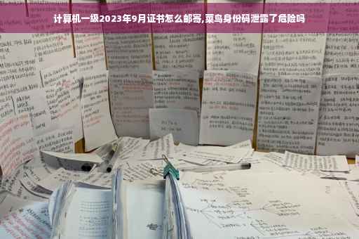 计算机一级2023年9月证书怎么邮寄,菜鸟身份码泄露了危险吗