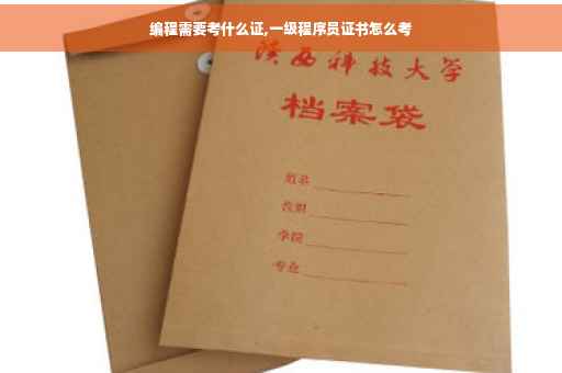 编程需要考什么证,一级程序员证书怎么考